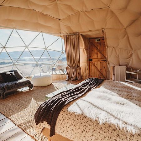 Valley Views Glamping Kurow Ngoại thất bức ảnh